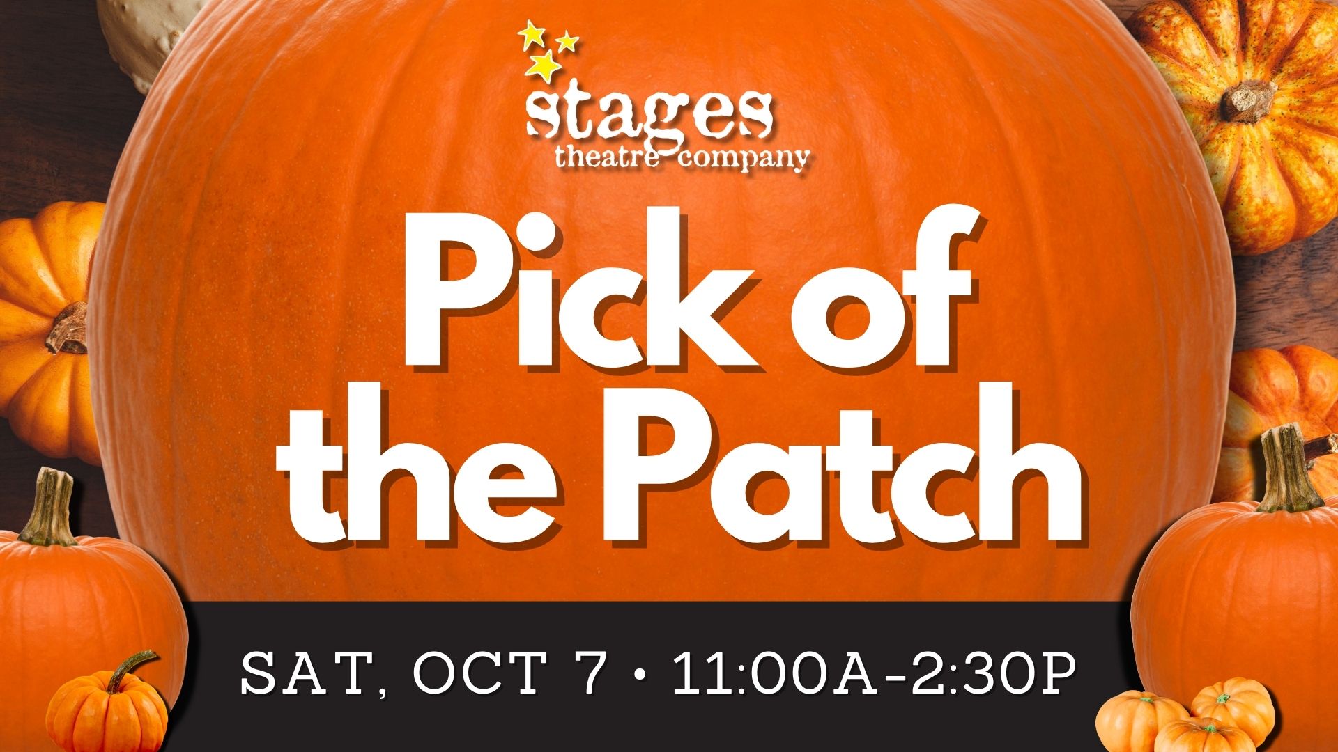 Pick of the Patch at Stages Theatre Company