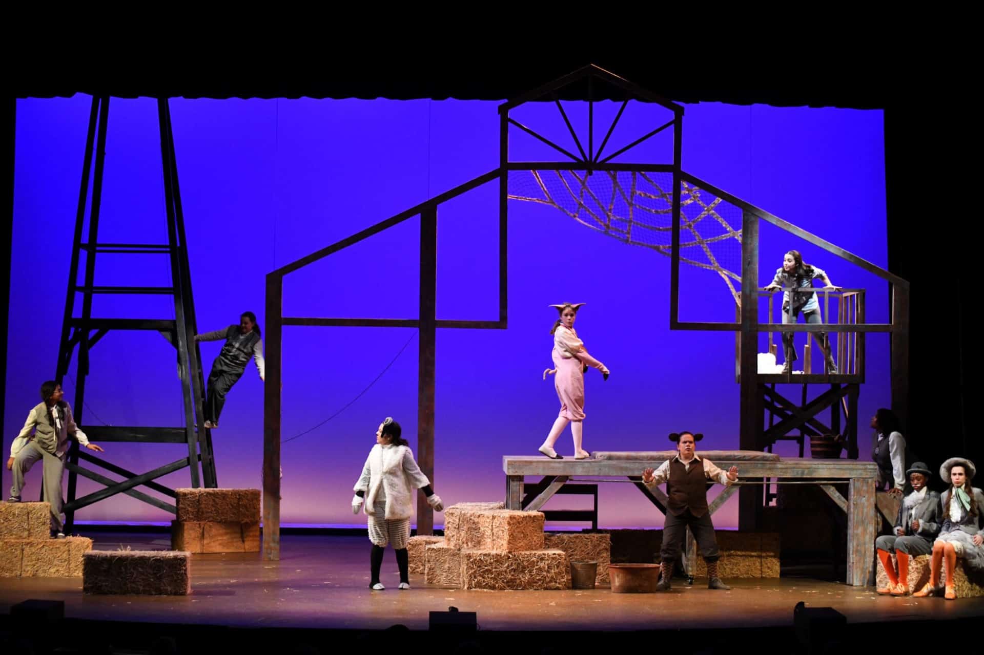 Photos from Charlotte's Web